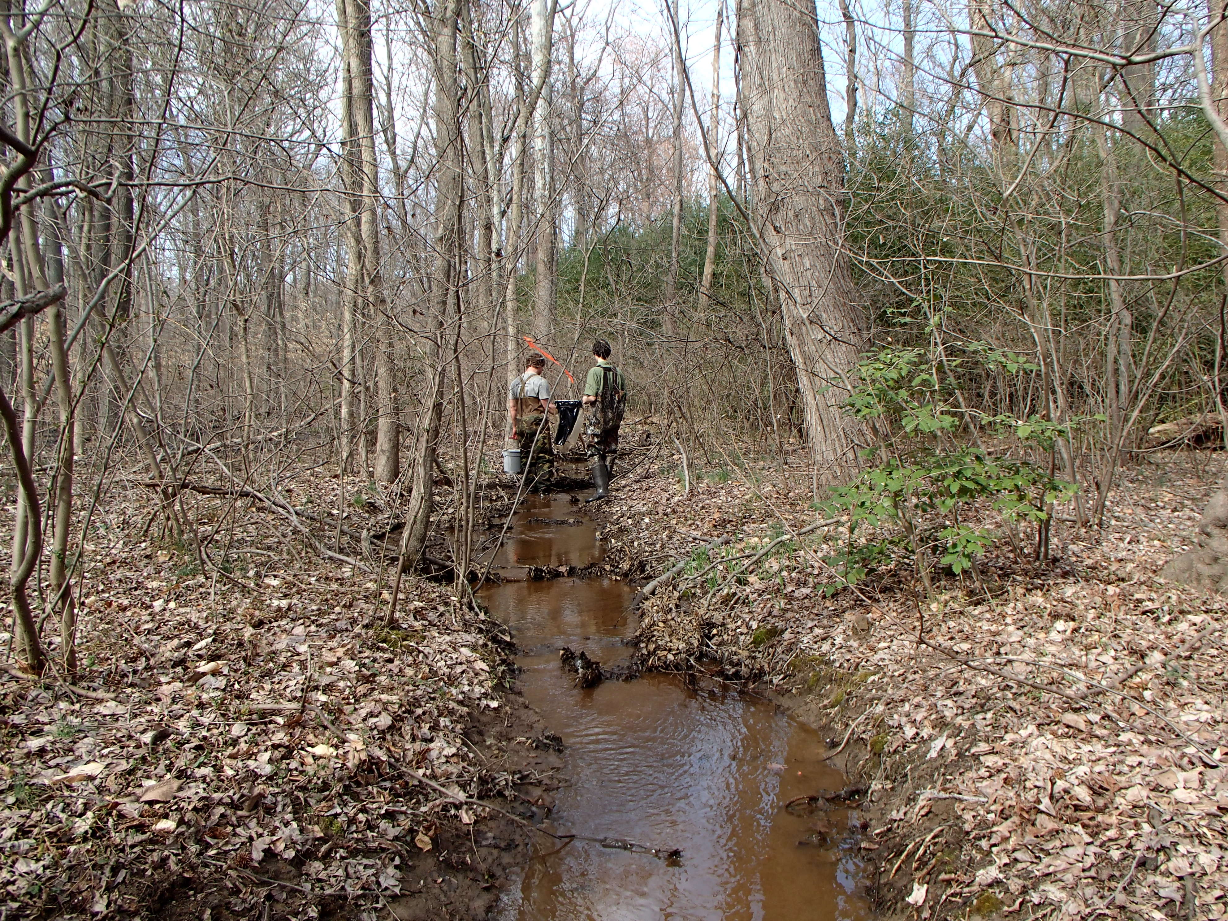 Field photo showing stream conditions at site WEST-106-X-2016_midpoint looking upstream